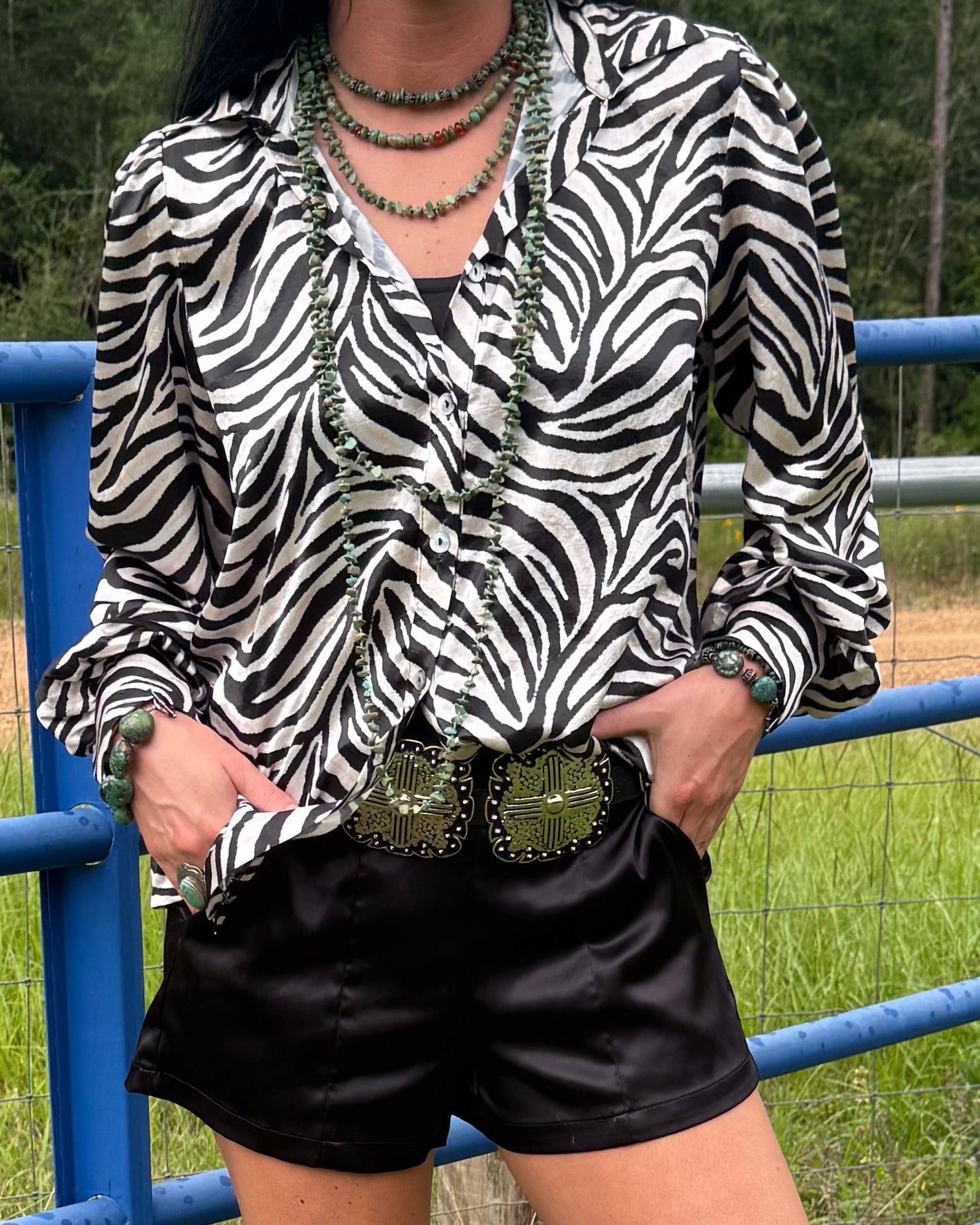 The Zebra Button Up